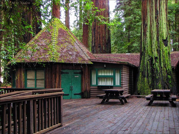 Richardson Grove and redwood hiking trail