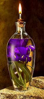 watering sprikler garden tools