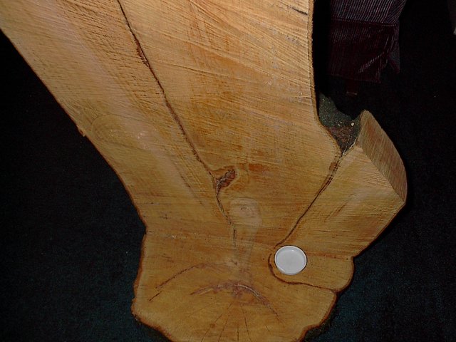 Included bark in flowering plum wood